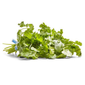 Cilantro