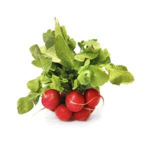 Rabanitos