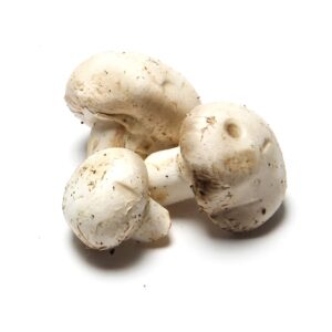 Champignons