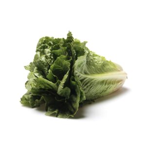 Lechuga Mantecosa