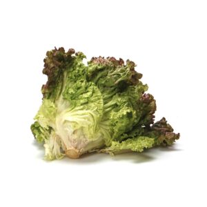 Lechuga Morada